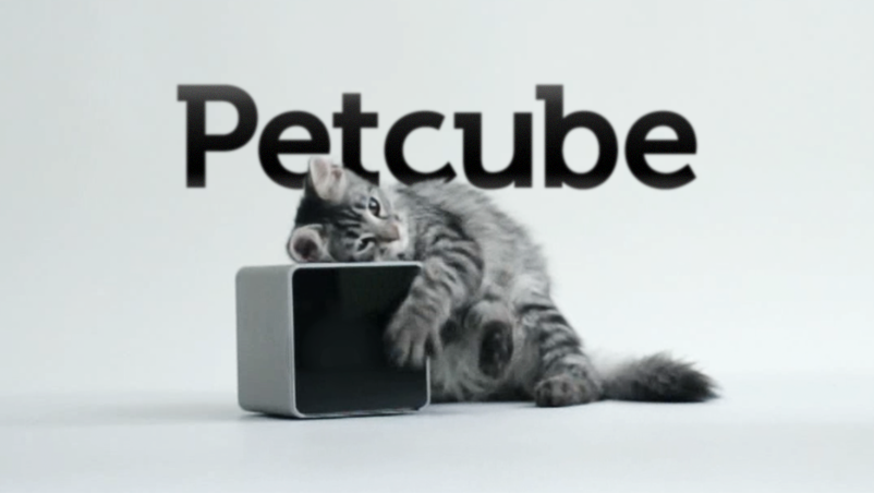 petcube