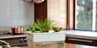 Aqua Farm 2 σε 1! aquafarm