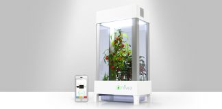 Niwa – Φτιάξε τον δικό σου κήπο με λαχανικά & φρούτα σπίτι! niwa