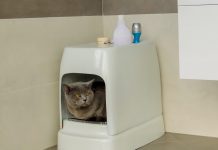 CATOLET Smart Automatic Litter Box 01