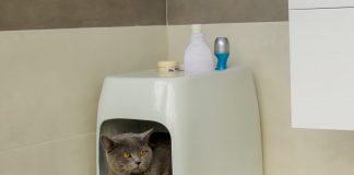 CATOLET Smart Automatic Litter Box CATOLET Smart Automatic Litter Box 01