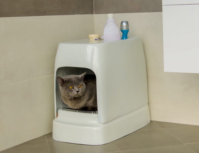 CATOLET Smart Automatic Litter Box 01