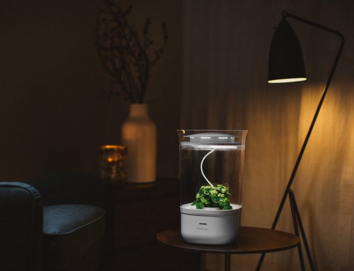 Bloomengine Smart Indoor Planter