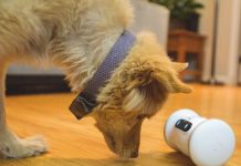 VARRAM Pet Fitness Robot