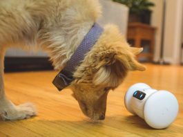 VARRAM Pet Fitness Robot