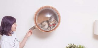 Myzoo Spaceship Gamma – Διαστημικό σπίτι για γάτες myzoo spaceship gamma